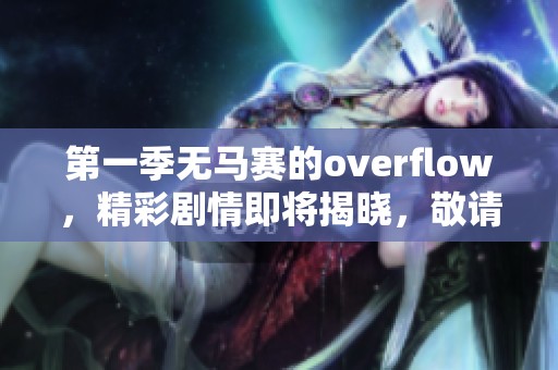 第一季无马赛的overflow，精彩剧情即将揭晓，敬请期待！