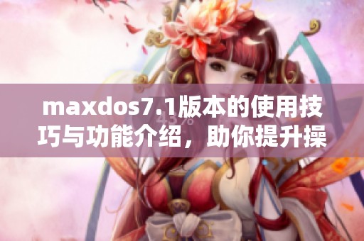 maxdos7.1版本的使用技巧与功能介绍，助你提升操作效率与体验