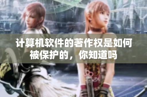 计算机软件的著作权是如何被保护的，你知道吗