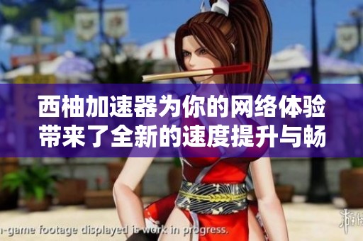 西柚加速器为你的网络体验带来了全新的速度提升与畅快感受