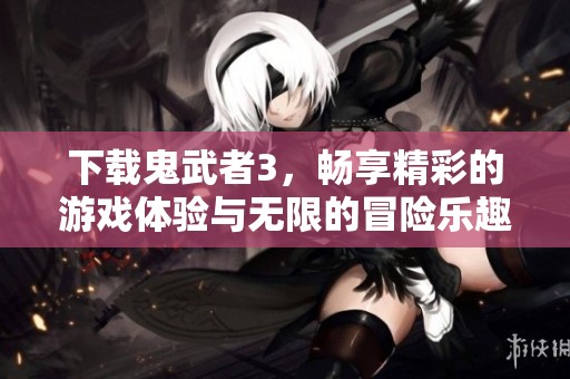 下载鬼武者3，畅享精彩的游戏体验与无限的冒险乐趣