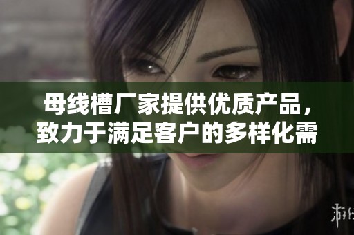 母线槽厂家提供优质产品，致力于满足客户的多样化需求