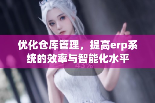 优化仓库管理，提高erp系统的效率与智能化水平