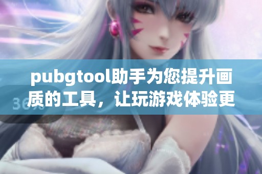 pubgtool助手为您提升画质的工具，让玩游戏体验更加出色
