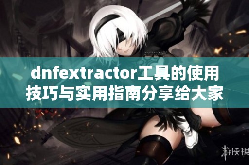 dnfextractor工具的使用技巧与实用指南分享给大家