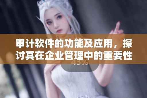 审计软件的功能及应用，探讨其在企业管理中的重要性