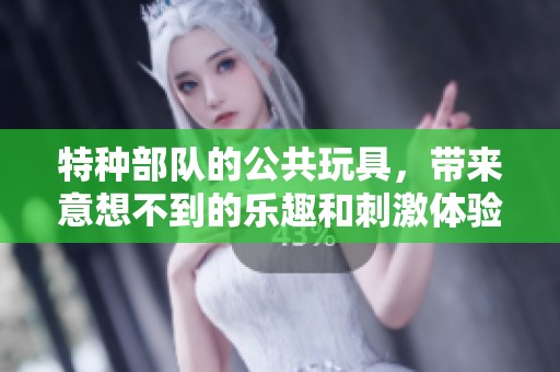 特种部队的公共玩具，带来意想不到的乐趣和刺激体验