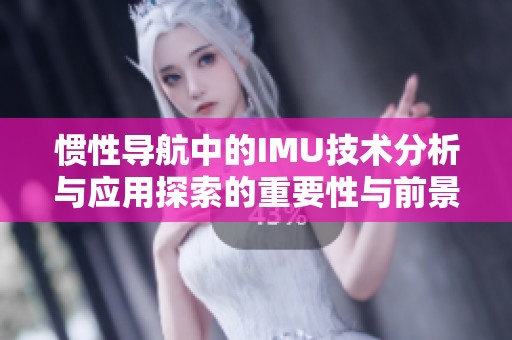 惯性导航中的IMU技术分析与应用探索的重要性与前景