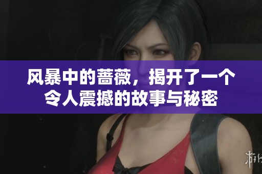 风暴中的蔷薇，揭开了一个令人震撼的故事与秘密