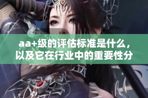 aa+级的评估标准是什么，以及它在行业中的重要性分析