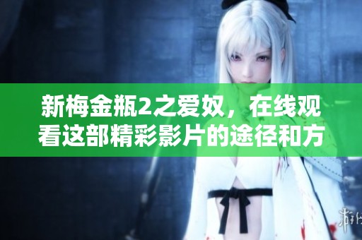 新梅金瓶2之爱奴，在线观看这部精彩影片的途径和方法探讨