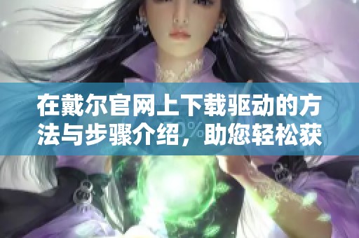 在戴尔官网上下载驱动的方法与步骤介绍，助您轻松获取最新驱动程序