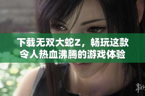 下载无双大蛇Z，畅玩这款令人热血沸腾的游戏体验