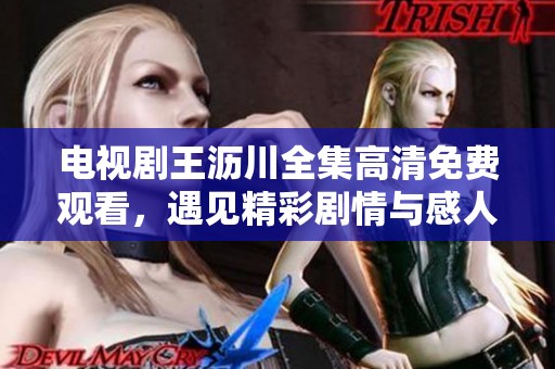 电视剧王沥川全集高清免费观看，遇见精彩剧情与感人故事