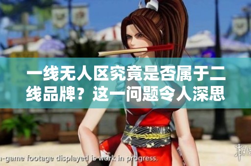 一线无人区究竟是否属于二线品牌？这一问题令人深思。