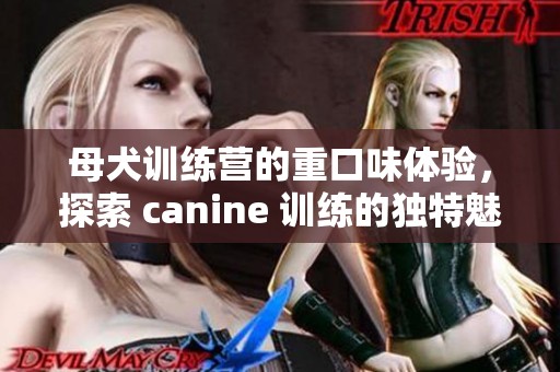 母犬训练营的重口味体验，探索 canine 训练的独特魅力！