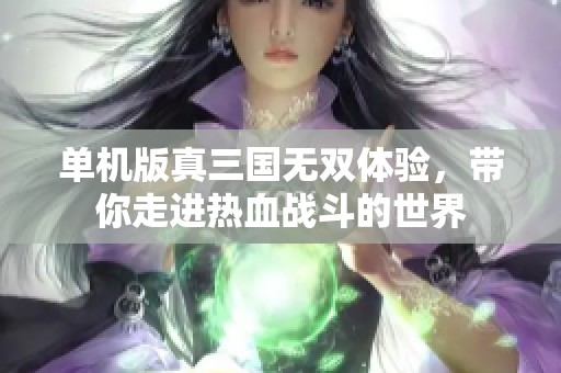 单机版真三国无双体验，带你走进热血战斗的世界