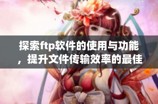 探索ftp软件的使用与功能，提升文件传输效率的最佳选择