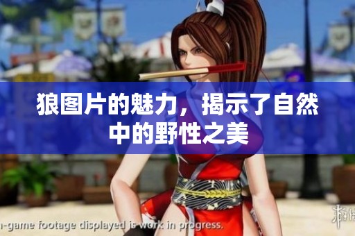 狼图片的魅力，揭示了自然中的野性之美