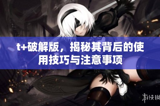 t+破解版，揭秘其背后的使用技巧与注意事项