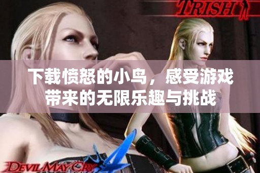 下载愤怒的小鸟，感受游戏带来的无限乐趣与挑战