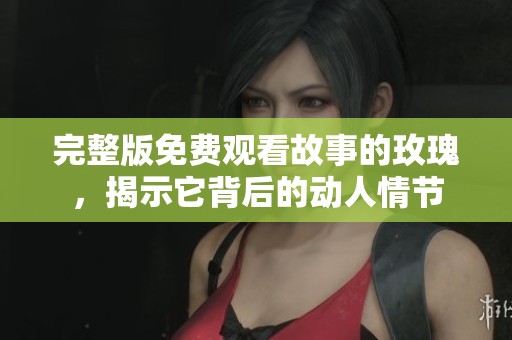 完整版免费观看故事的玫瑰，揭示它背后的动人情节