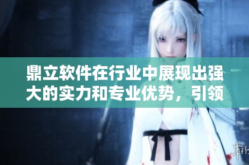 鼎立软件在行业中展现出强大的实力和专业优势，引领未来发展方向。