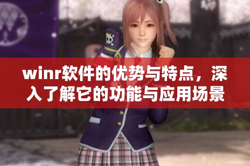 winr软件的优势与特点，深入了解它的功能与应用场景