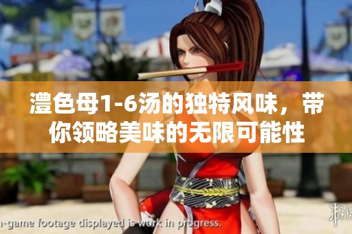 澧色母1-6汤的独特风味，带你领略美味的无限可能性