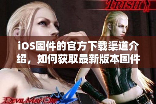 iOS固件的官方下载渠道介绍，如何获取最新版本固件的详细步骤