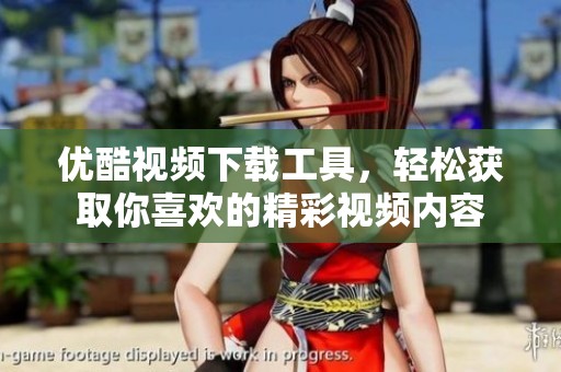 优酷视频下载工具，轻松获取你喜欢的精彩视频内容