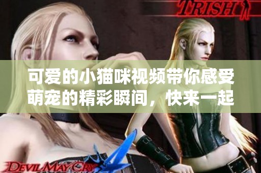可爱的小猫咪视频带你感受萌宠的精彩瞬间，快来一起欣赏吧！