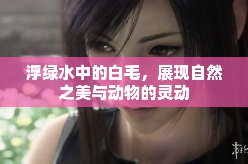 浮绿水中的白毛，展现自然之美与动物的灵动