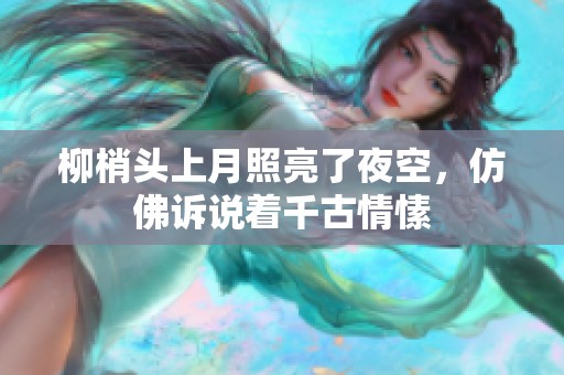 柳梢头上月照亮了夜空，仿佛诉说着千古情愫