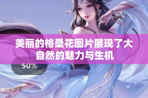 美丽的格桑花图片展现了大自然的魅力与生机