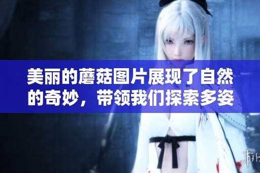 美丽的蘑菇图片展现了自然的奇妙，带领我们探索多姿多彩的蘑菇世界。