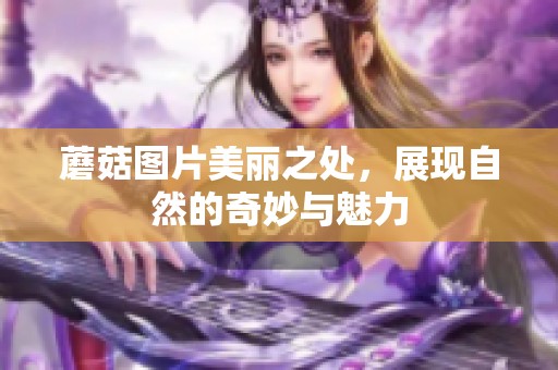 蘑菇图片美丽之处，展现自然的奇妙与魅力