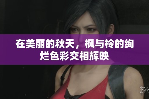 在美丽的秋天，枫与柃的绚烂色彩交相辉映