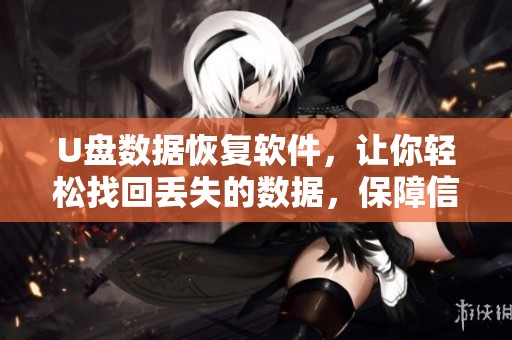 U盘数据恢复软件，让你轻松找回丢失的数据，保障信息安全！
