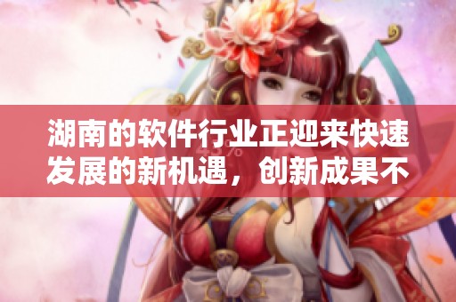 湖南的软件行业正迎来快速发展的新机遇，创新成果不断涌现冲击市场