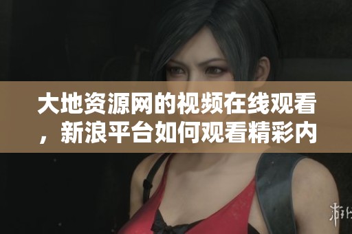 大地资源网的视频在线观看，新浪平台如何观看精彩内容