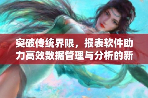 突破传统界限，报表软件助力高效数据管理与分析的新方式