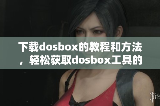 下载dosbox的教程和方法，轻松获取dosbox工具的步骤解析