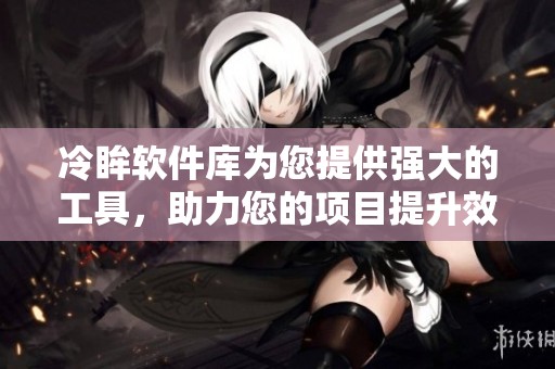 冷眸软件库为您提供强大的工具，助力您的项目提升效率与质量