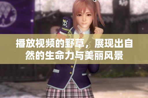 播放视频的野草，展现出自然的生命力与美丽风景