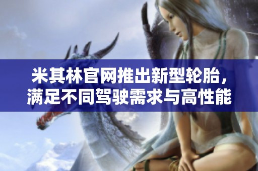 米其林官网推出新型轮胎，满足不同驾驶需求与高性能要求