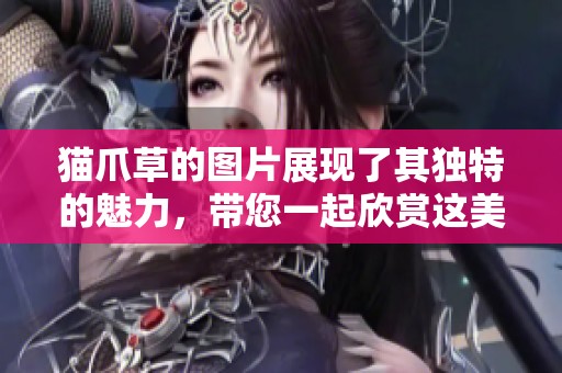 猫爪草的图片展现了其独特的魅力，带您一起欣赏这美丽植物的叫人惊叹之处