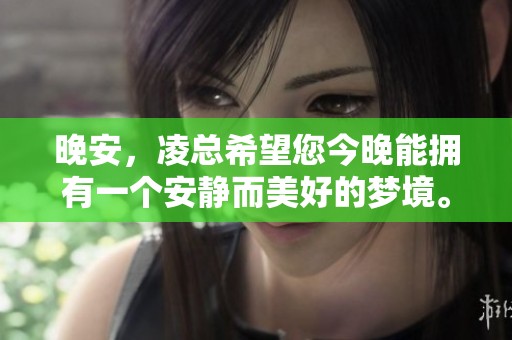 晚安，凌总希望您今晚能拥有一个安静而美好的梦境。