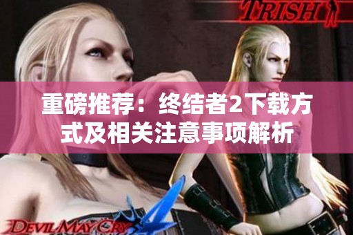 重磅推荐：终结者2下载方式及相关注意事项解析