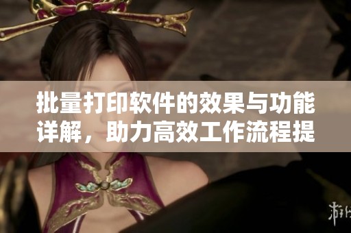 批量打印软件的效果与功能详解，助力高效工作流程提升